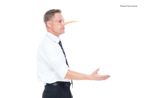 Dyrs lying